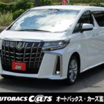 新型、アルファード、特別仕様車、S、30系