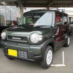 suzuki スズキ ハスラー ハスライフ 特選車 カスタムカー